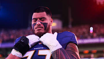 AFC Wild Card Playoffs: Pittsburgh Steelers v Baltimore Ravens
