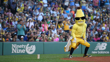 The Party Animals v The Savannah Bananas