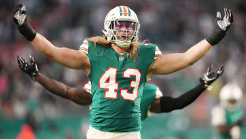 Miami Dolphins linebacker Andrew Van Ginkel (43) celebrates a sack against the Dallas Cowboys at Hard Rock Stadium in Miami Gardens last December.