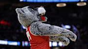 New Mexico Lobos mascot “Lobo Louie”. 