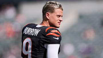 Baltimore Ravens v Cincinnati Bengals