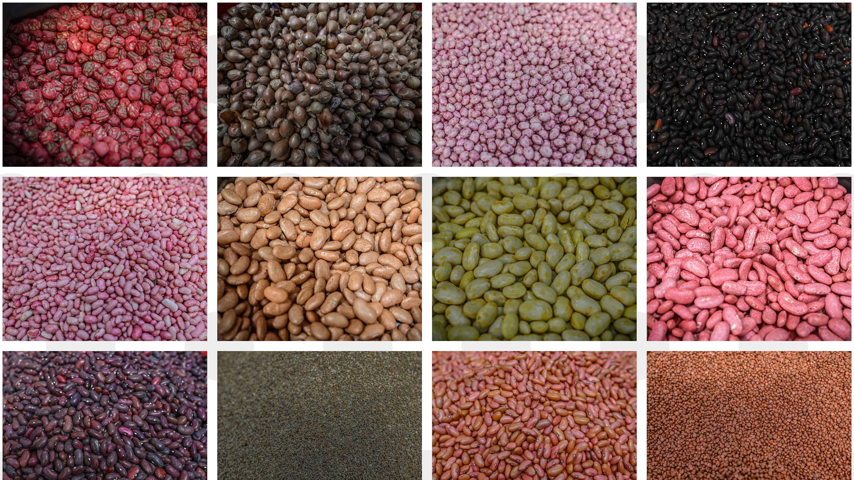 Top 5 antioxidant-rich foods and how to incorporate them into your diet