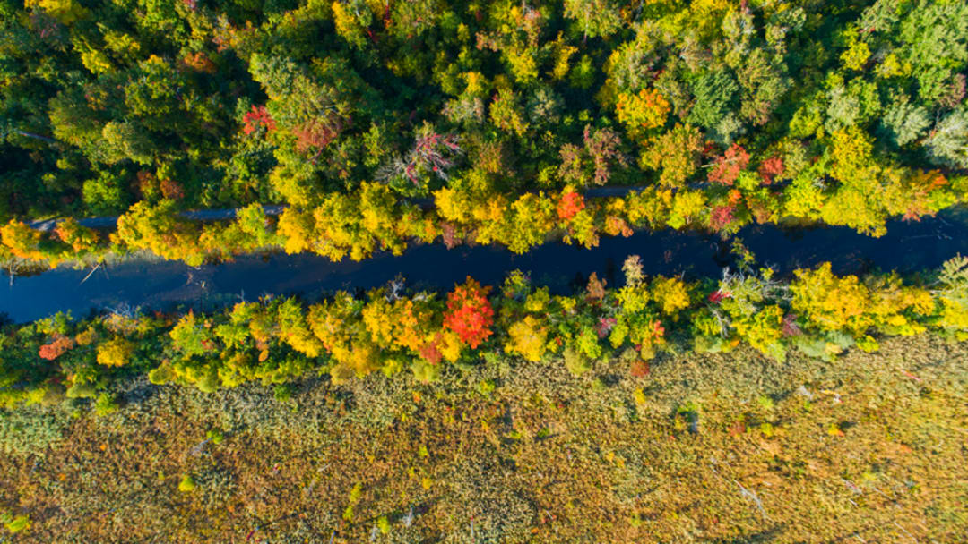 An overhead view of the Erie Canal in autumn. An overhead view of the Erie Canal in autumn.