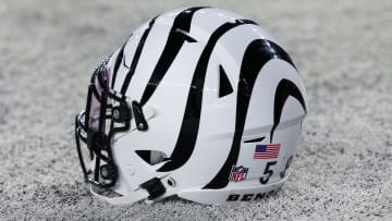 Miami Dolphins v Cincinnati Bengals