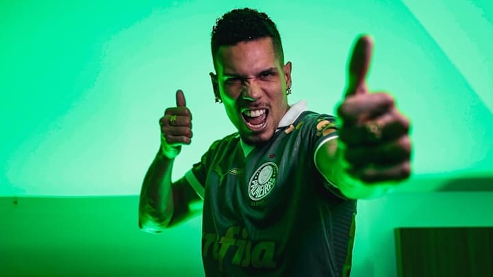 Paulinho foi o principal reforço do Palmeiras até aqui