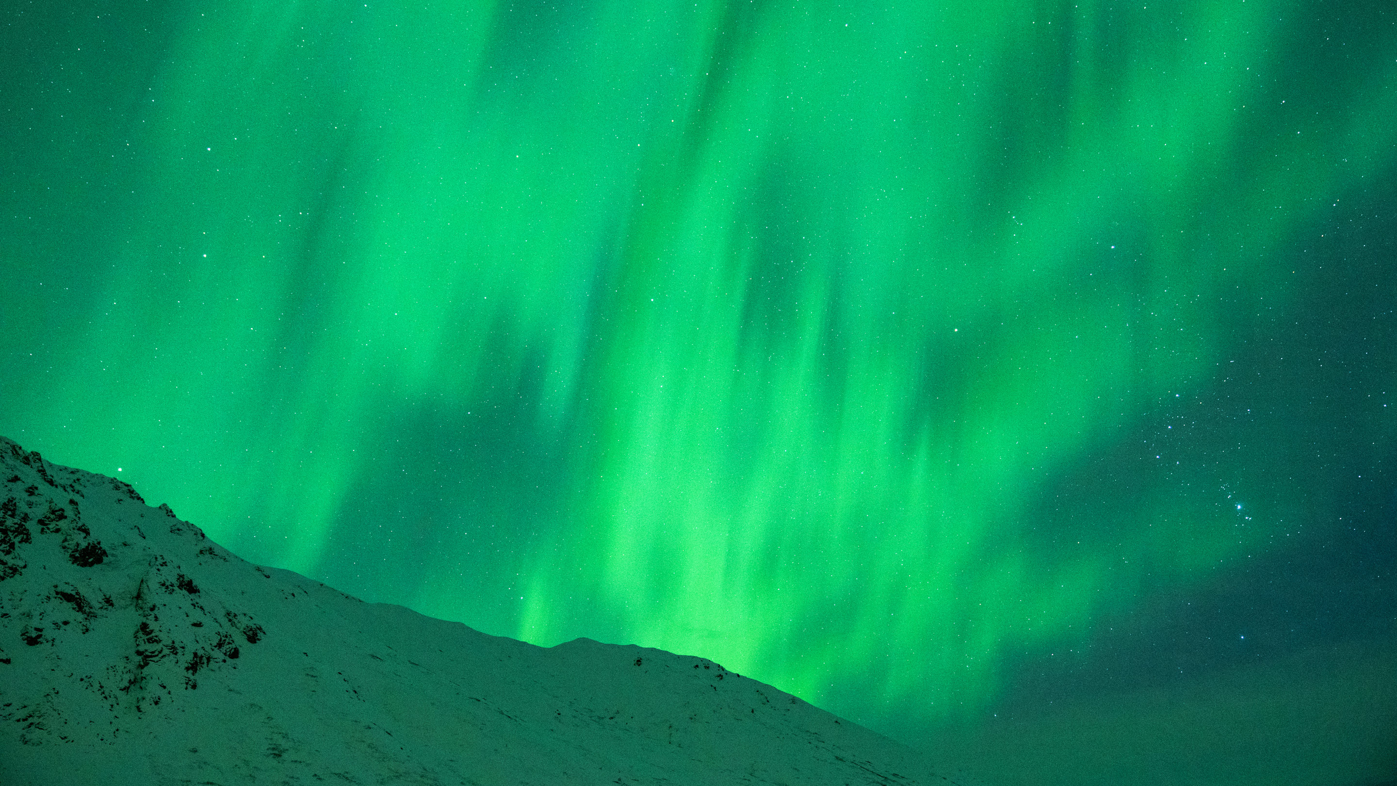 Missed the Northern Lights This Year? Scientists Say They’re About to Get More Active