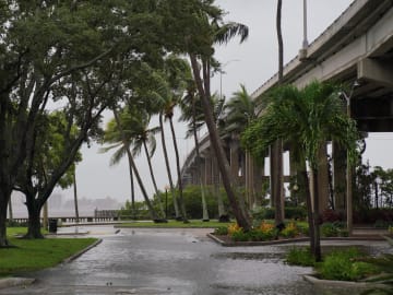 Hurricane Ian hits Florida