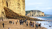 Large Rock Fall At Jurassic Coast