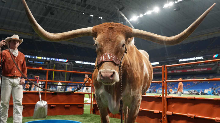 Texas Longhorns mascot Bevo XV was part of the 2022 Alamo Bowl between the UW and Texas.