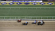 Horses run in a race held ahead of the 2024 Breeders' Cup Championship at Del Mar Thoroughbred Club. 