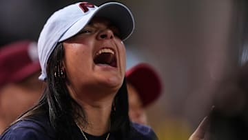 Philadelphia Phillies fan reacts against the Arizona Diamondbacks in the ninth inning during game five of the NLCS for the 2023 MLB playoffs at Chase Field.