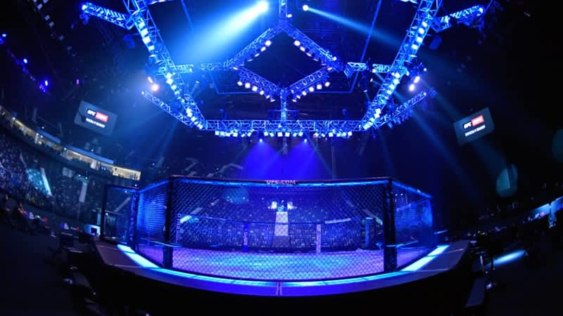 UFC Octagon