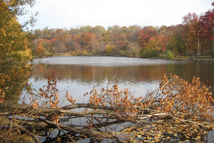 Van Cortlandt Park Lake in the Bronx, NY