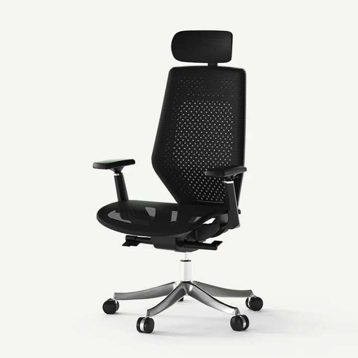 Best office chairs, according to experts: Mesh ergonomic office chair from FlexiSpot. 