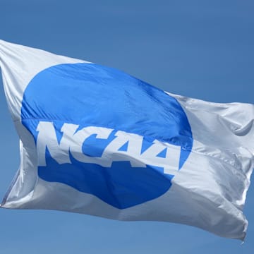 The NCAA is moving to allow gambling on professional sports by its membership. 