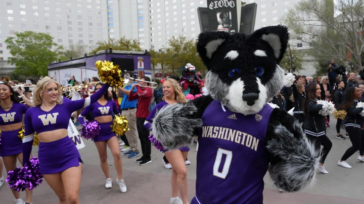 Mar 14, 2024; Las Vegas, NV, USA; Washington Huskies mascot Harry the Husky at a pep rally at T-Mobile Arena. Mandatory Credit: Kirby Lee-USA TODAY Sports