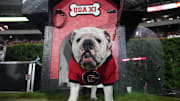 Sep 23, 2023; Athens, Georgia, USA; Georgia Bulldogs mascot Uga XI poses during the game against the UAB Blazers at Sanford Stadium. Mandatory Credit: Kirby Lee-Imagn Images