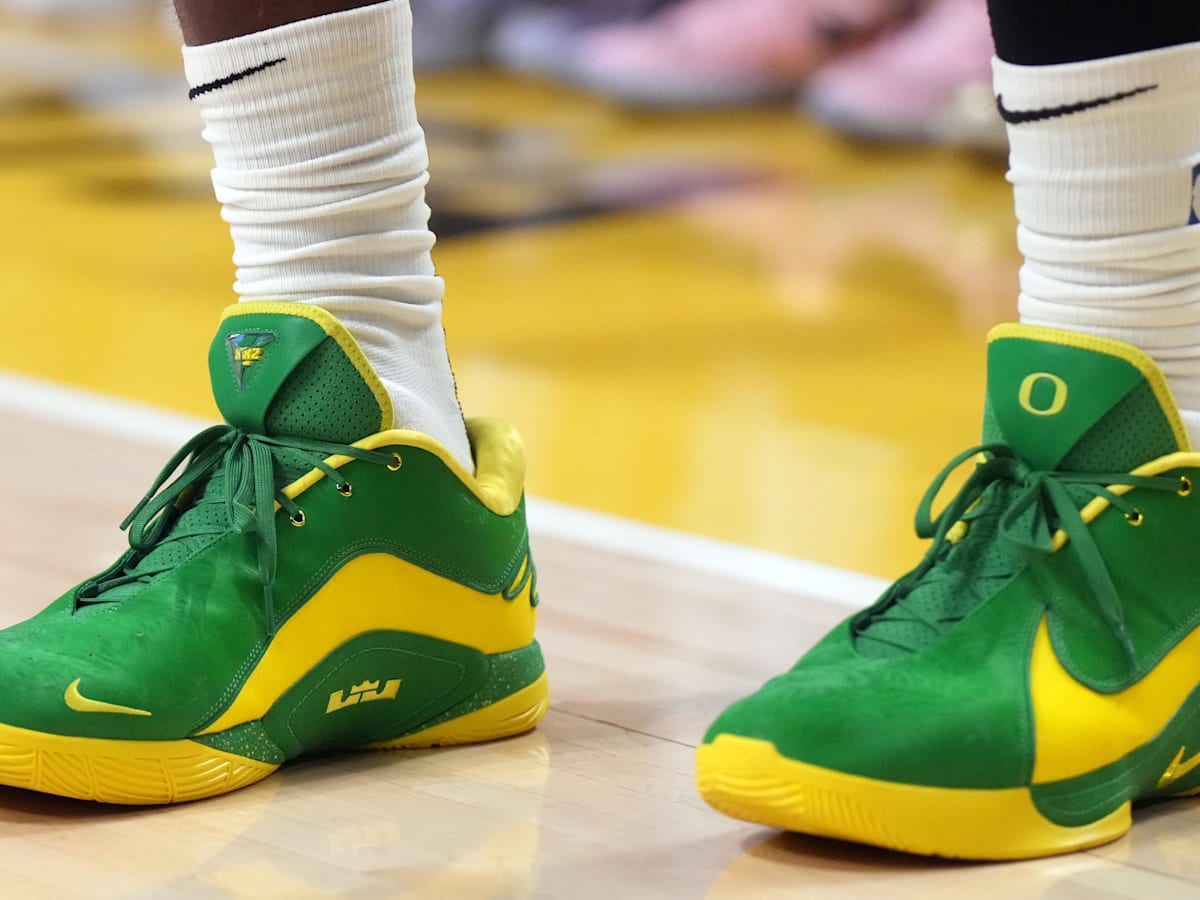 lebron james shoes for cheap