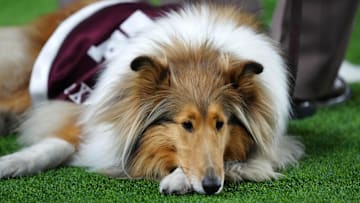 Dec 27, 2024; Las Vegas, NV, USA; Texas A&M Aggies dog mascot reacts against the Southern California Trojans in the second half at Allegiant Stadium. Mandatory Credit: Kirby Lee-Imagn Images