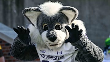 The Northwestern Wildcats mascot Willie the Wildcat in action during the game against the Iowa Hawkeyes at Kinnick Stadium.