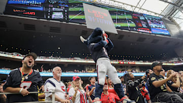 Houston Texans fans
