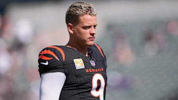 Baltimore Ravens v Cincinnati Bengals