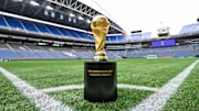 The FIFA World Cup will be dotted across various continents in the coming years