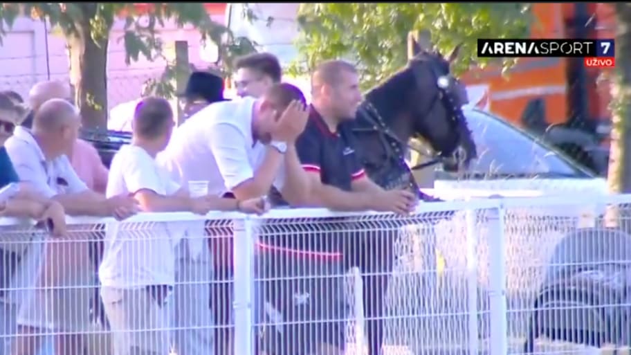 Nikola Jokic was overjoyed after his horse won a race in Serbia on Sunday.  | Screenshot via Arena Sport on X