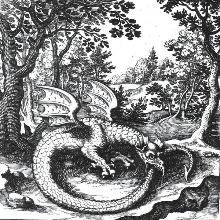 Engraving of a wyvern-style ouroboros from ‘De Lapide Philosophico.’