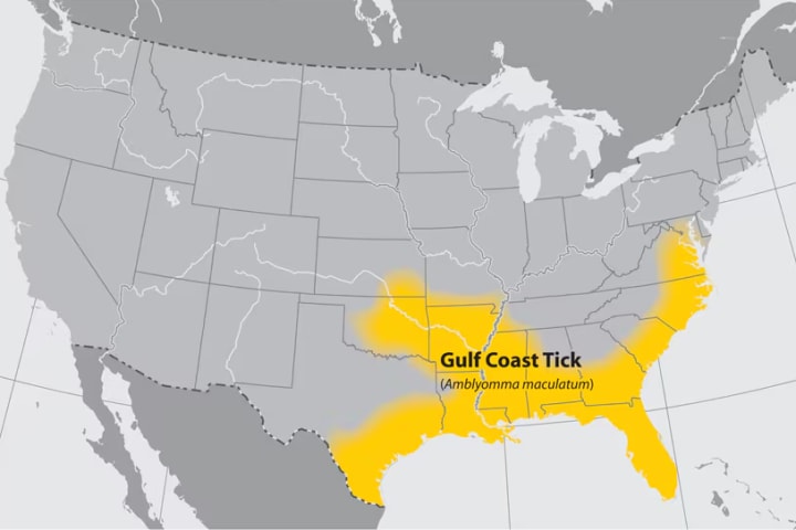 gulf coast tick range map