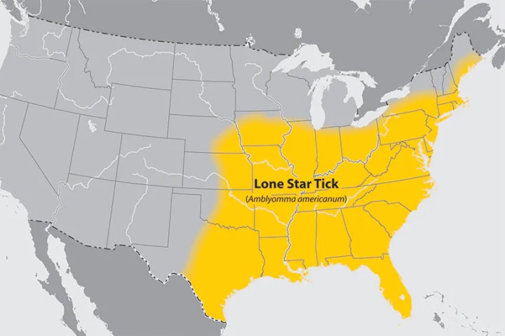 map of the Lone Star tick range