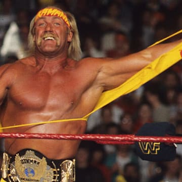 Hulk Hogan Net Worth 2024
