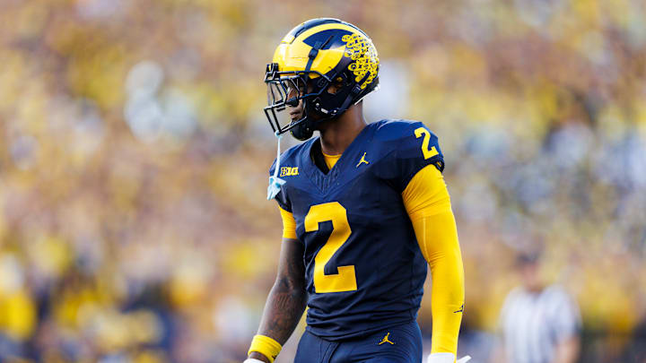 Will Johnson, Michigan Wolverines