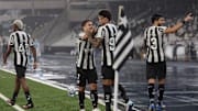 Botafogo venceu o Internacional no Nilton Santos