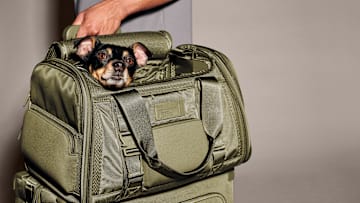 Dagne Dover Loves Your BFF (Best Furry Friend): Say Hello the New Kyoto Pet Carrier