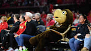 Jan 19, 2025; College Park, Maryland, USA; Maryland Terrapins mascot performs during the second half of the game between the Maryland Terrapins and the Nebraska Cornhuskers at Xfinity Center. Mandatory Credit: Reggie Hildred-Imagn Images
