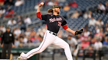 Detroit Tigers v Washington Nationals