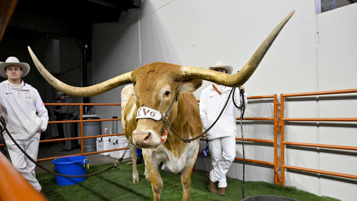 Texas football