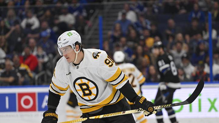 Apr 4, 2026; Tampa, Florida, USA; Boston Bruins defenseman Nikita Zadorov (91) skates during the second period against Tampa Bay Lightning at Benchmark International Arena. Mandatory Credit: Pablo Robles-Imagn Images