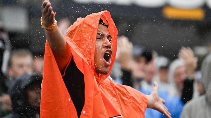 Chicago Bears fan 