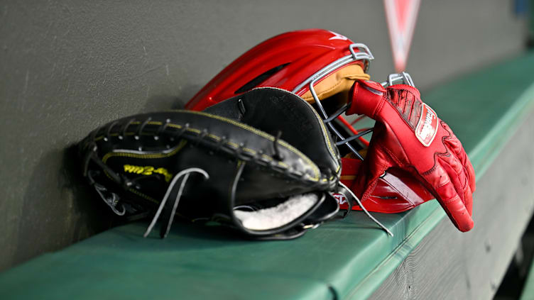 Cincinnati Reds catcher Daniel Vellojin