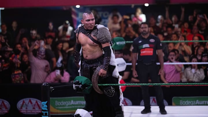 El luchador Hijo del Vikingo