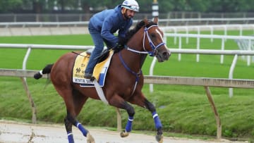 May 15, 2024; Baltimore, Maryland, USA; Mystik Dan exercises Wednesday morning ahead of the Preakness Stakes with rider Robbie Alvarado.