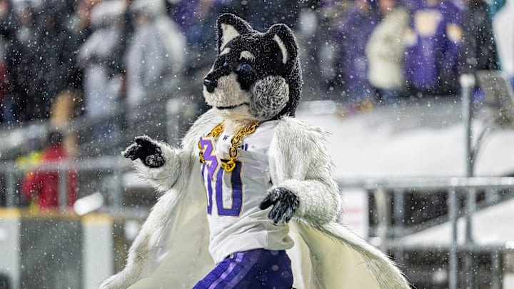 Harry the Husky walks the sideline during Washington's 13-10 Week 11 loss to Wisconsin. Harry the Husky walks the sideline during Washington's 13-10 Week 11 loss to Wisconsin.