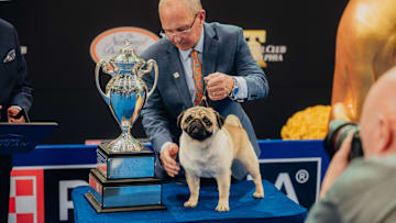 National Dog Show
