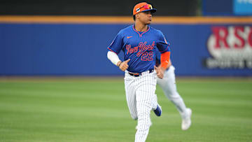 Mar 3, 2025; Port St. Lucie, Florida, USA;  New York Mets outfielder Juan Soto (22) warms-up before the game against the Miami Marlins at Clover Park. Mandatory Credit: Jim Rassol-Imagn Images