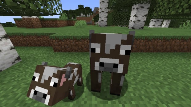 Minecraft Cows