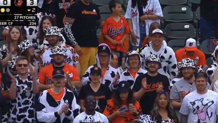 Baltimore Orioles fans in a section nicknamed "The Pasture," cheering on outfielder Colton Cowser at Oriole Park at Camden Yards. 