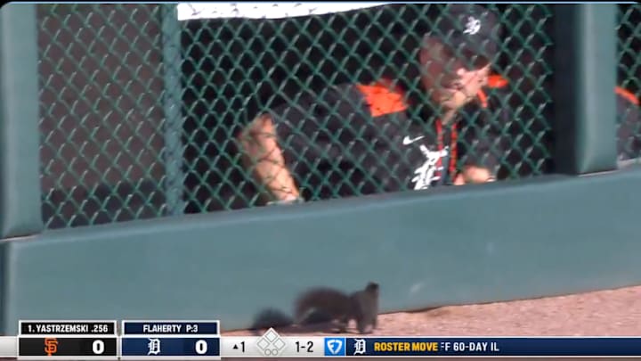 MLB News