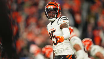 Cincinnati Bengals v Denver Broncos